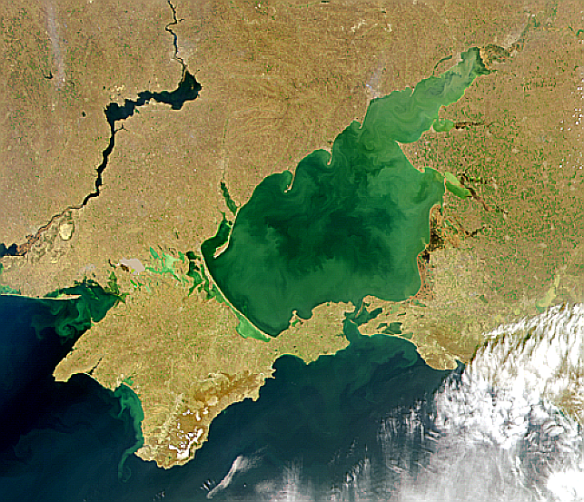 Eutrophication in the sea of Azov, south of the Ukraine  (SeaWiFS Project, NASA/Goddard Space Flight Center, and ORBIMAGE)